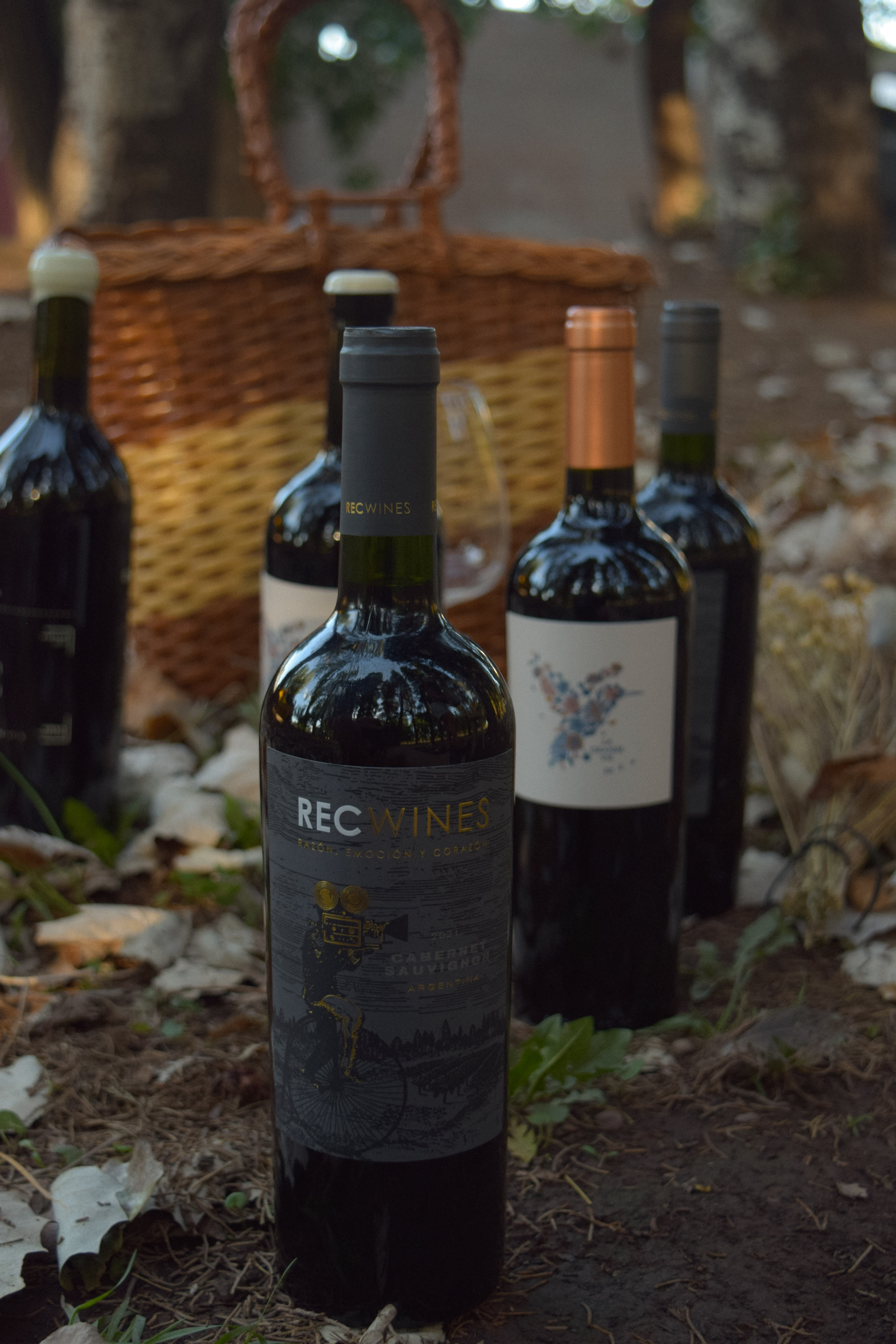 Vino REC Cabernet Sauvignon 2021